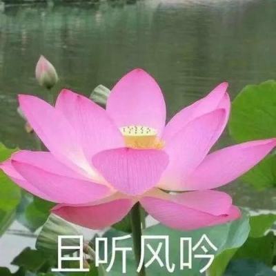 东阳红木家具市场“3.15”诚信在行动